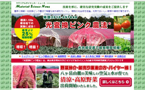 �}�e���A���T�C�G���X�������